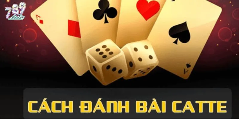 Hướng dẫn bet thủ các đánh bài catte 789club đơn giản