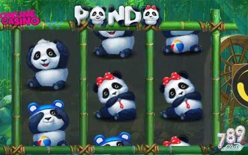 Hướng dẫn bet thủ mới từng bước tham gia Panda Slot