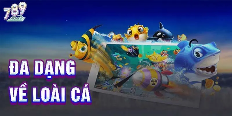 Khám phá các điểm nổi bật chỉ có tại Fishing Disco