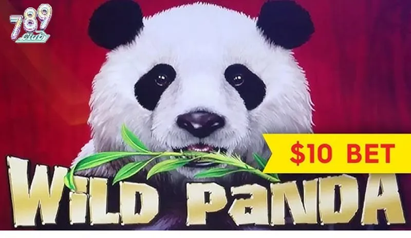 Khám phá thế giới tính năng vượt trội của Panda Slot