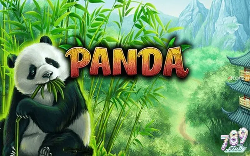 Mẹo chơi Panda slot 789club chuyên nghiệp