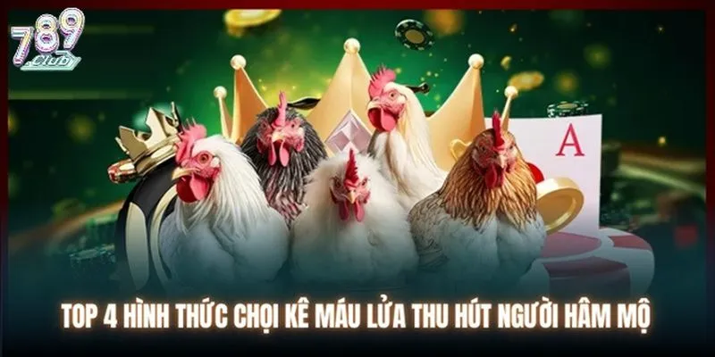 Những hình thức cá cược đá gà kịch tính nhất