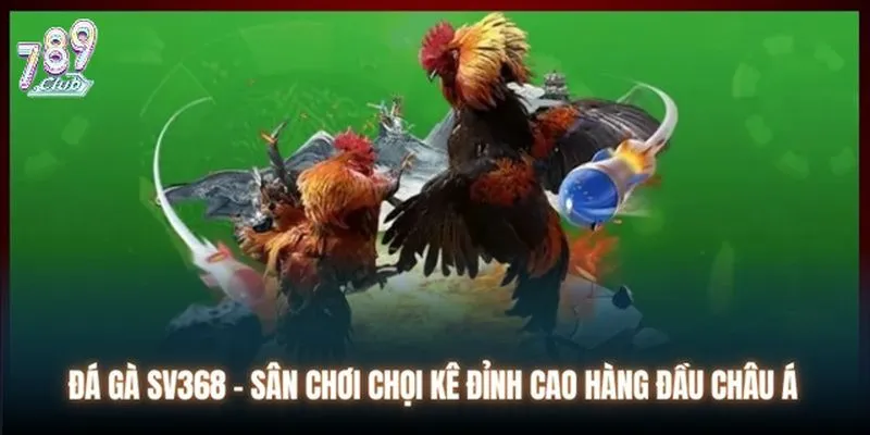 Tổng quan game đá gà SV368 789club