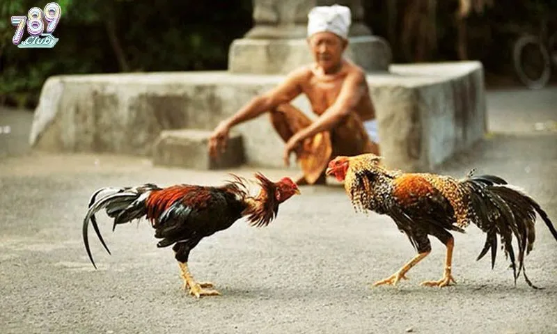 Bỏ túi những kinh nghiệm xương máu để thắng lớn