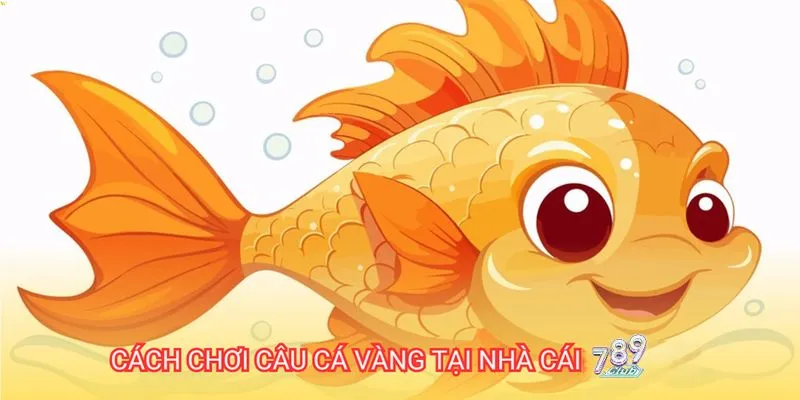 Hướng dẫn chi tiết cách chơi câu cá vàng cho người mới