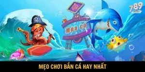Làm thế nào để tối đa hóa lợi nhuận khi chơi bắn cá Thủy Hử?